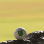 Golf Fee Card Golf Fee Card